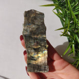 Labradorite Slab (#33) - Simply Affinity