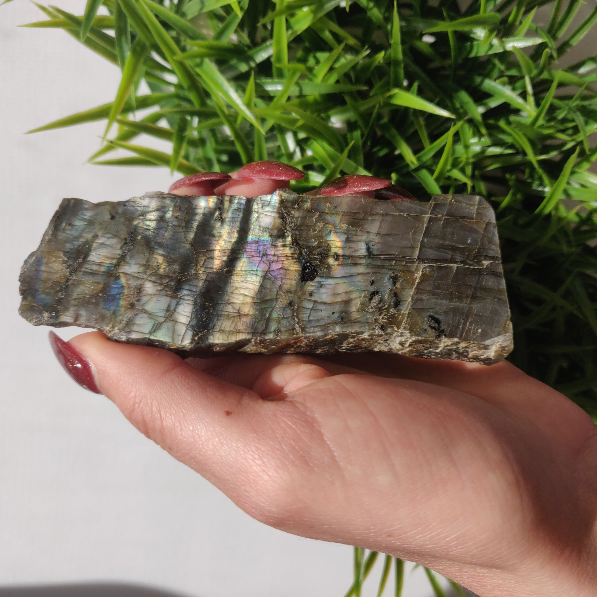 Labradorite Slab (#33) - Simply Affinity