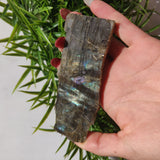 Labradorite Slab (#33) - Simply Affinity