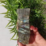 Labradorite Slab (#33) - Simply Affinity