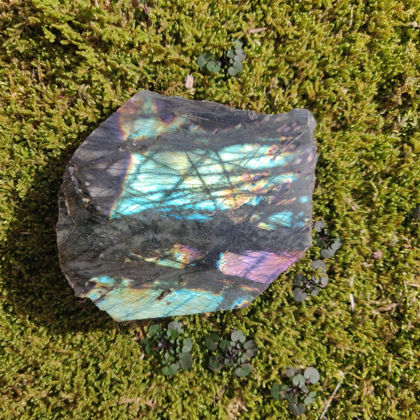 Labradorite Slab - Self-Standing (#35) - Simply Affinity