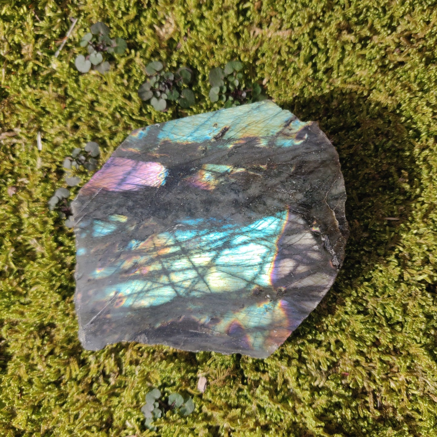 Labradorite Slab - Self-Standing (#35) - Simply Affinity