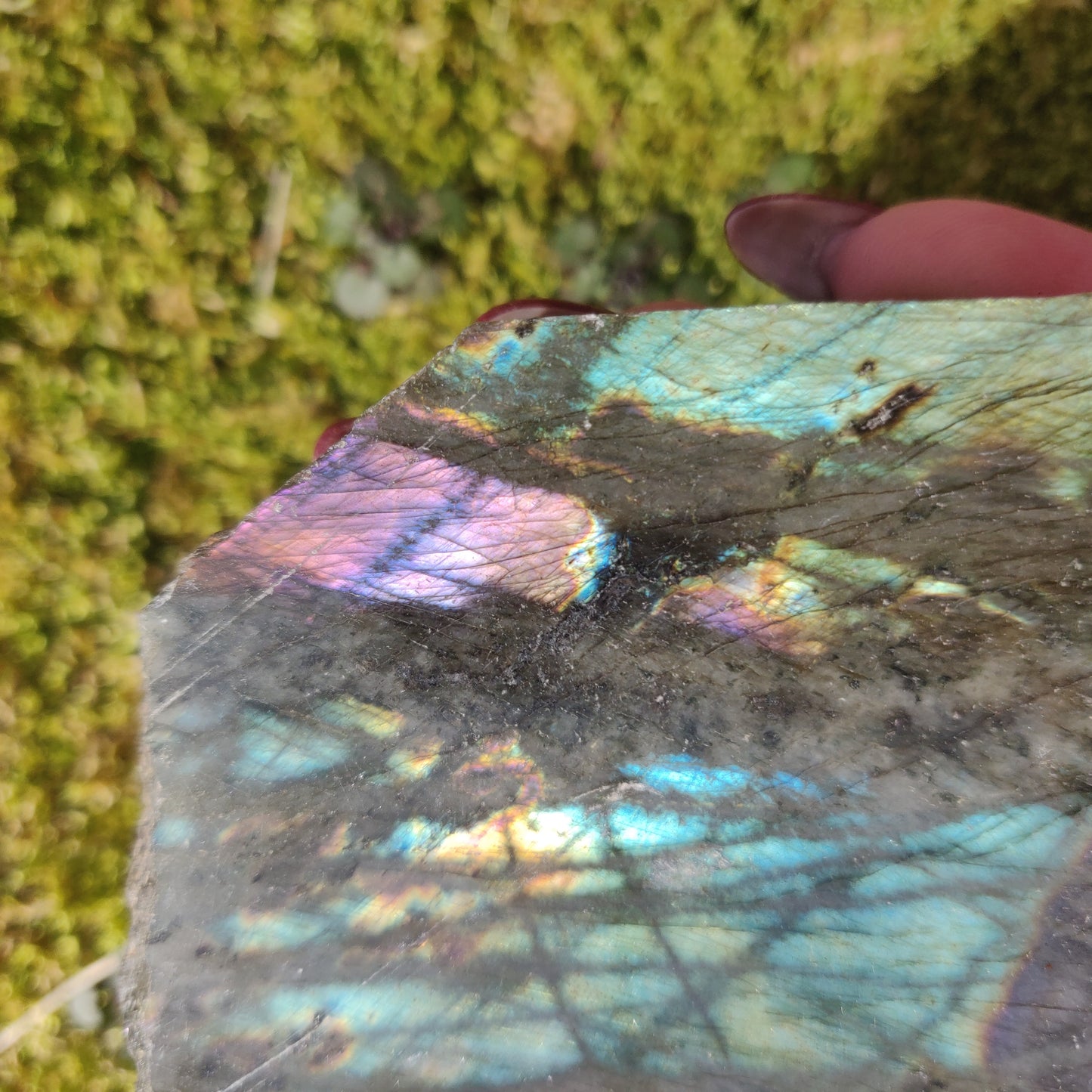 Labradorite Slab - Self-Standing (#35) - Simply Affinity