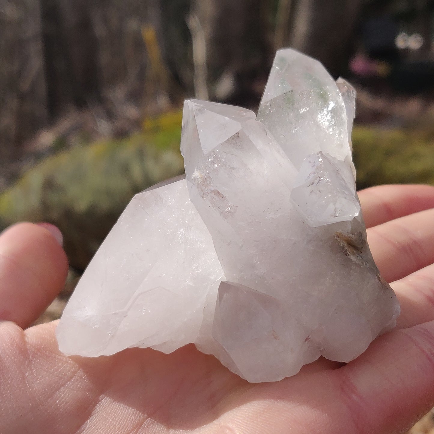 Raw Clear Quartz Cluster with Green Chlorite Inclusions  (#A2)