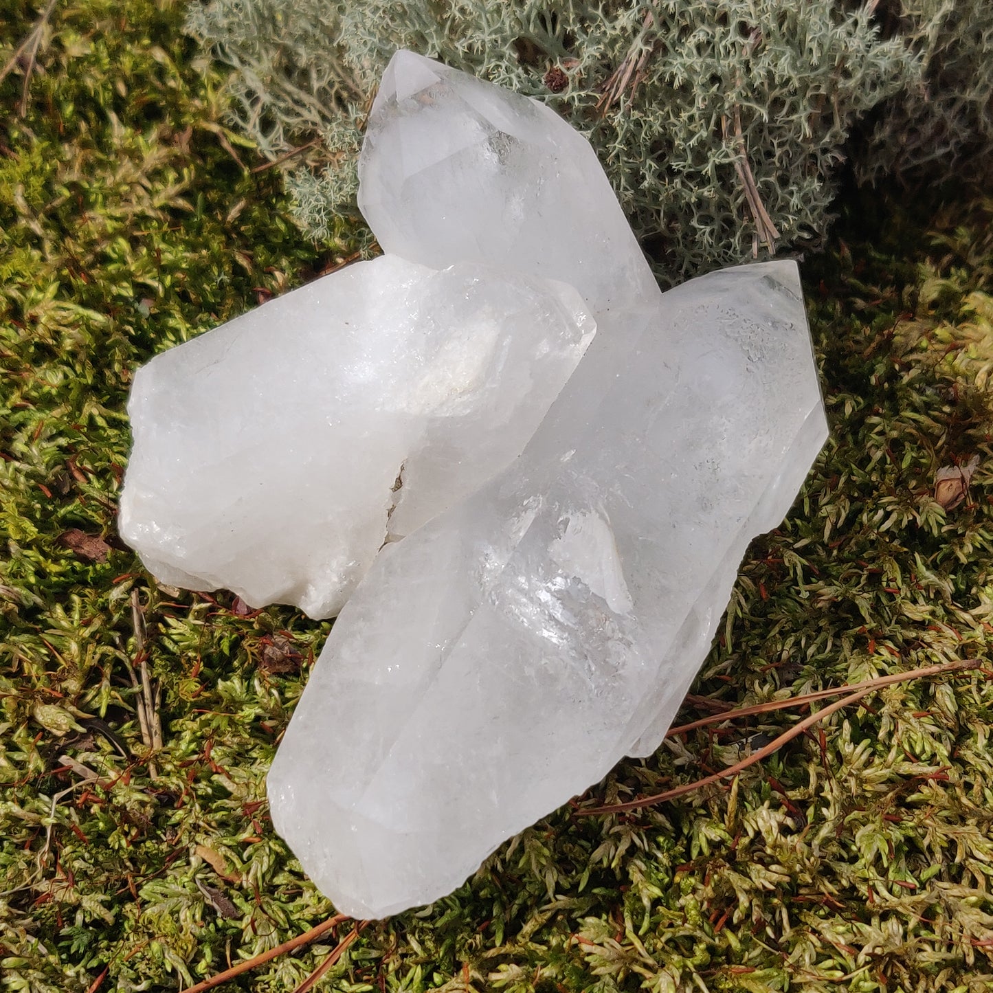 Raw Clear Quartz Cluster with Green Chlorite Inclusions  (#A1)