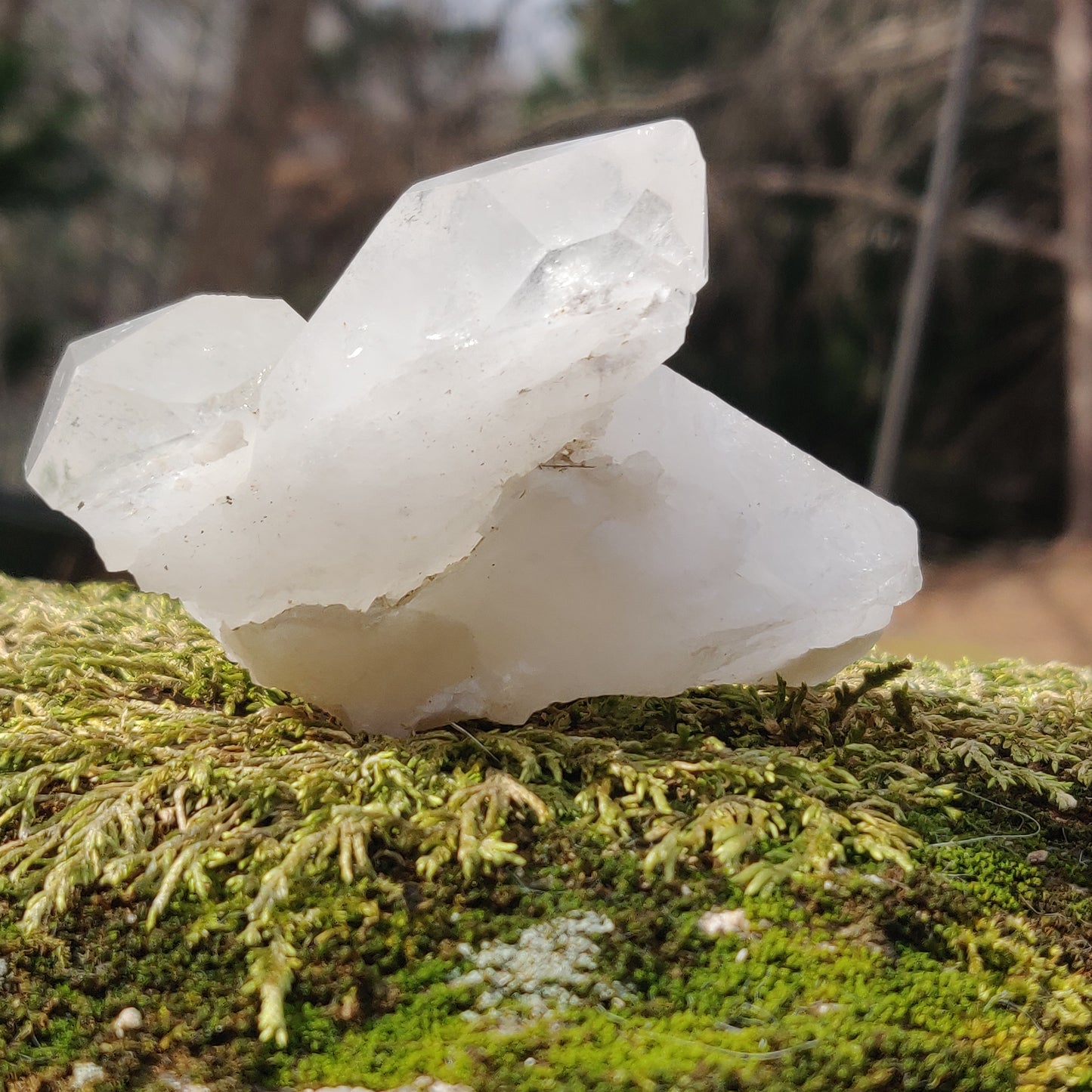 Raw Clear Quartz Cluster with Green Chlorite Inclusions  (#A1)