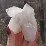 Raw Clear Quartz Cluster with Green Chlorite Inclusions  (#A1)