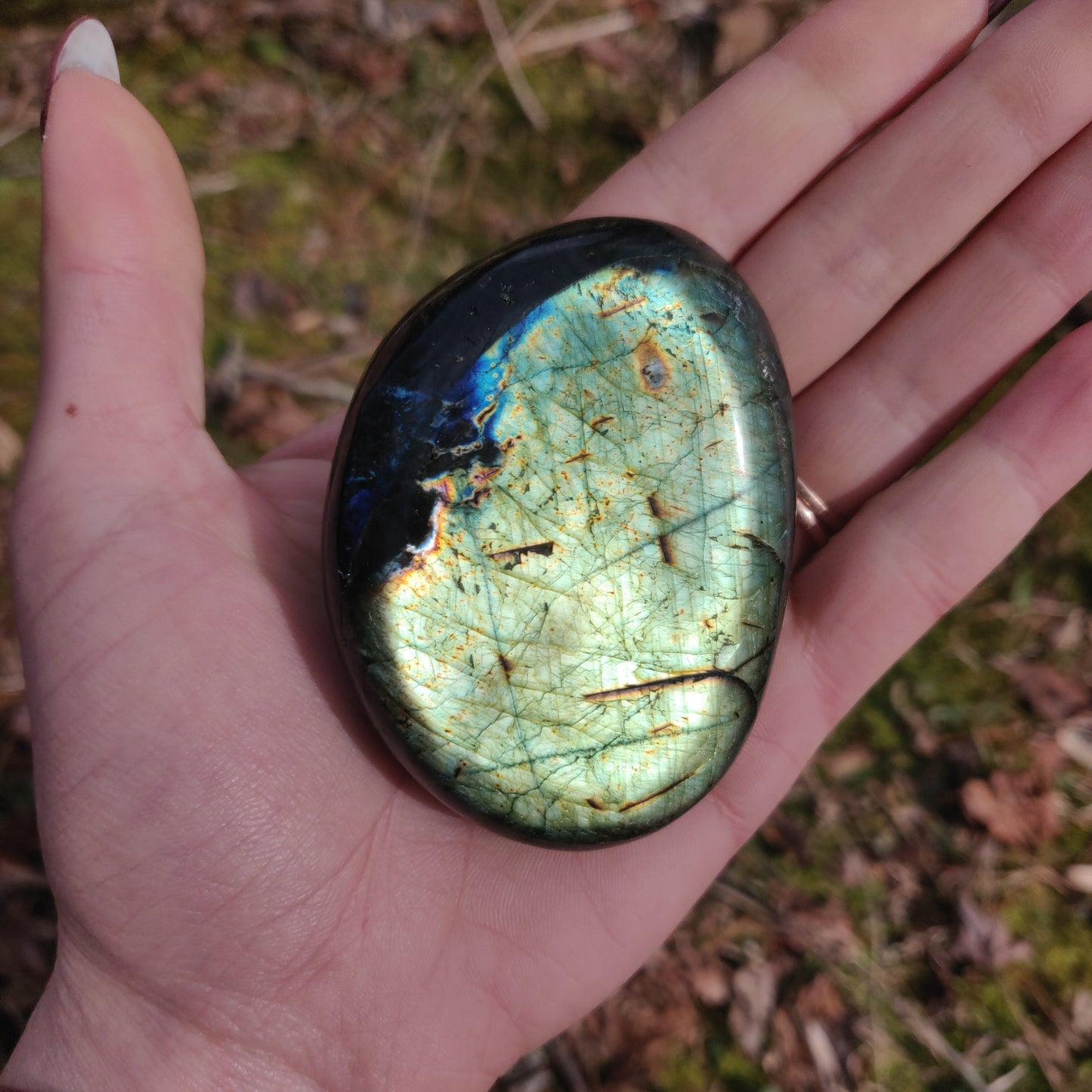 Labradorite Palm Stone (#71) - Simply Affinity