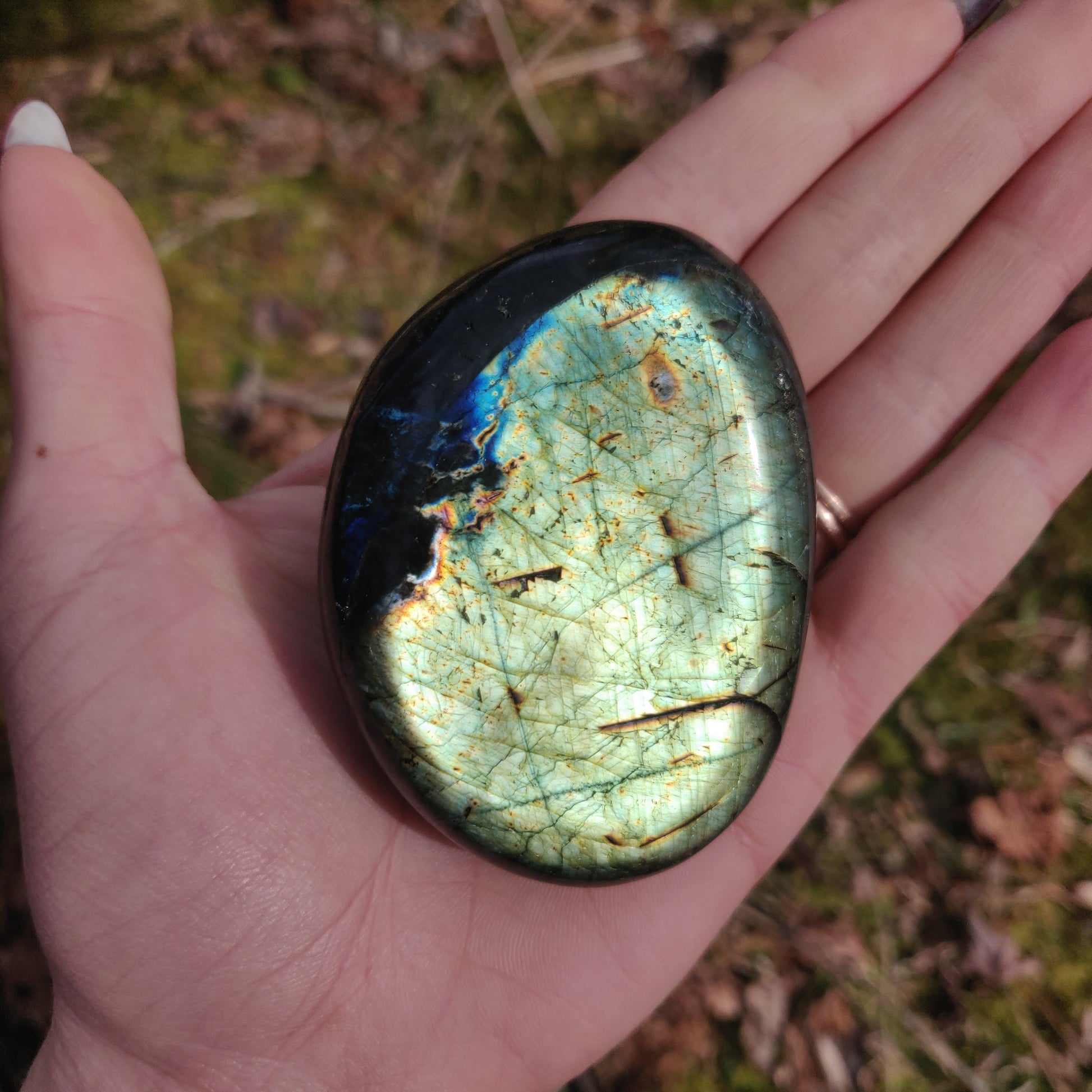 Labradorite Palm Stone (#71) - Simply Affinity