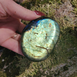 Labradorite Palm Stone (#71) - Simply Affinity