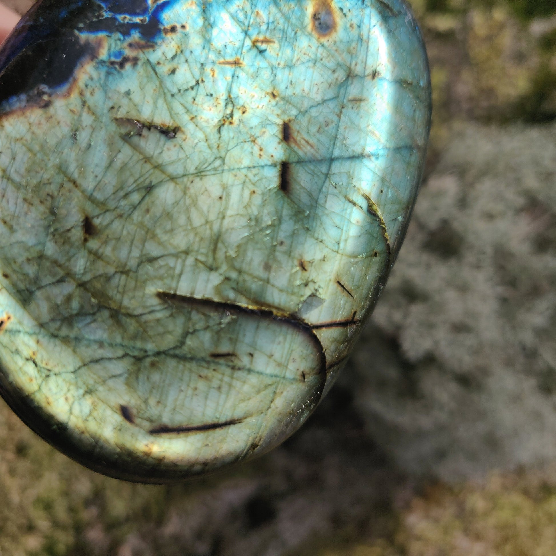 Labradorite Palm Stone (#71) - Simply Affinity