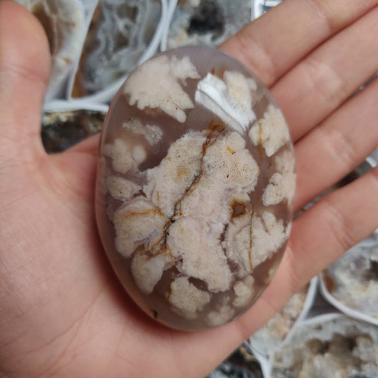 Flower Agate Palm Stone (#30)