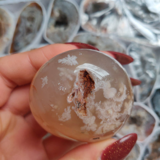 Flower Agate Palm Stone (#31)
