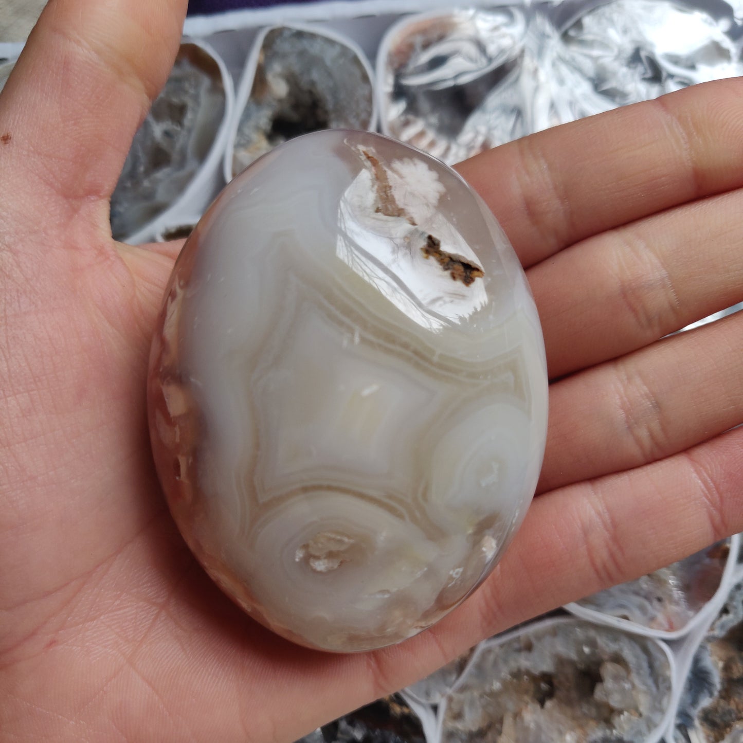 Flower Agate Palm Stone (#11)
