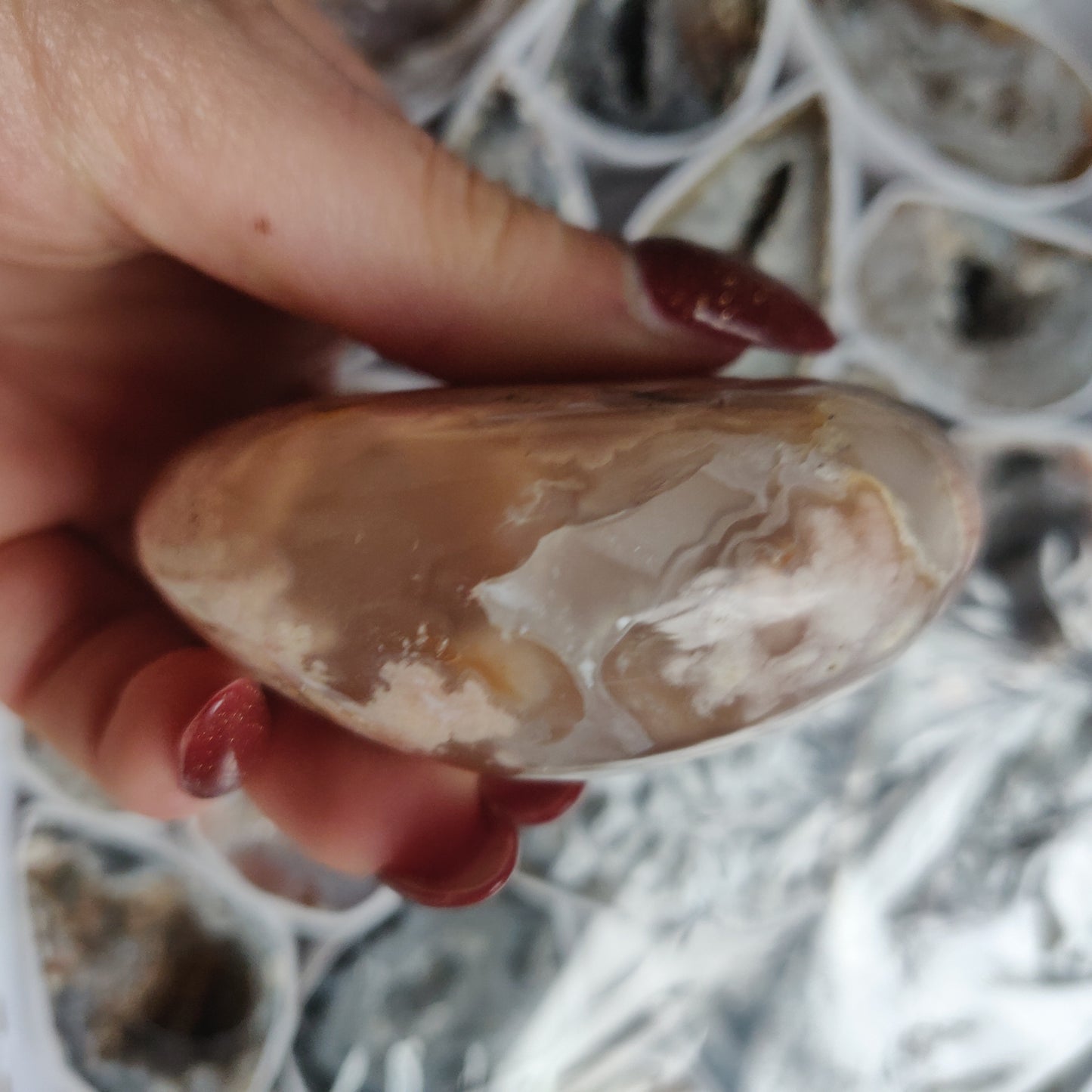 Flower Agate Palm Stone (#8)