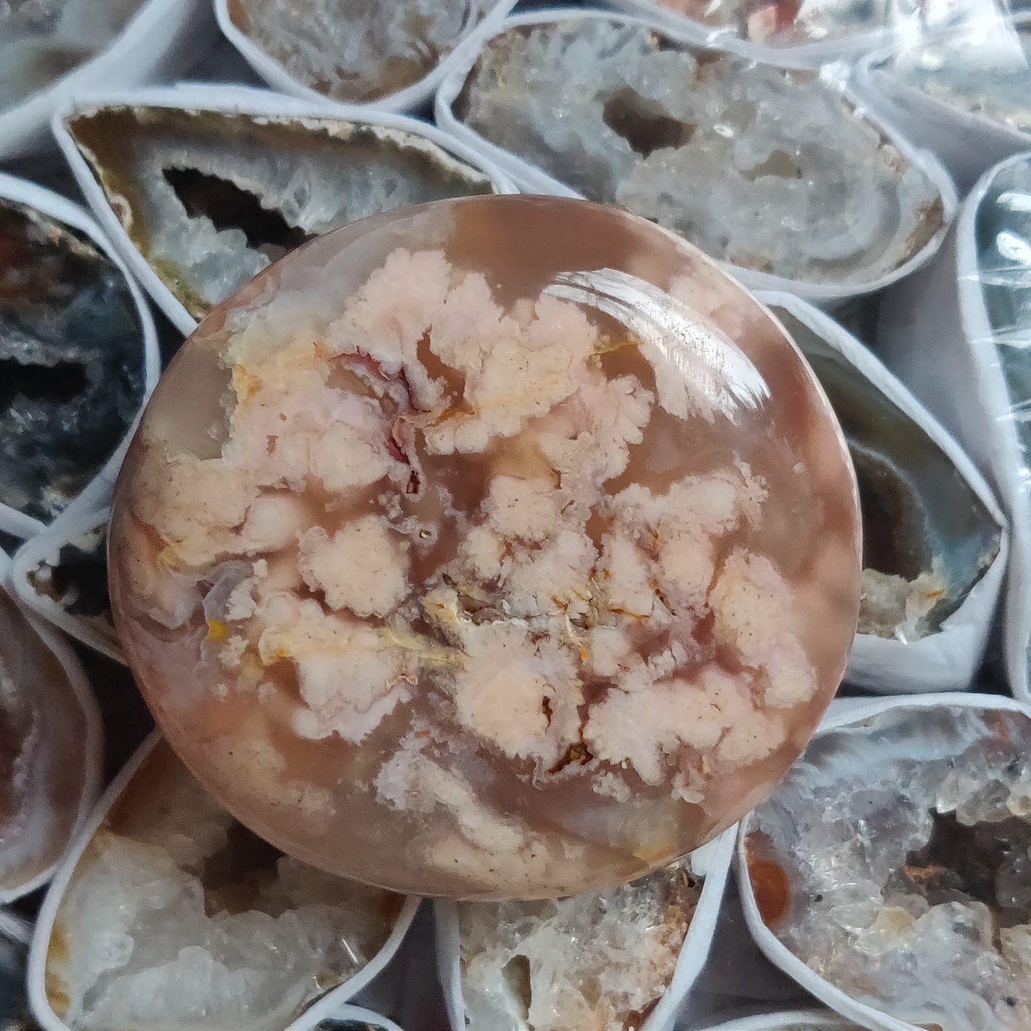 Flower Agate Palm Stone (#8)