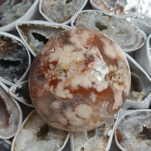 Flower Agate Palm Stone (#8)