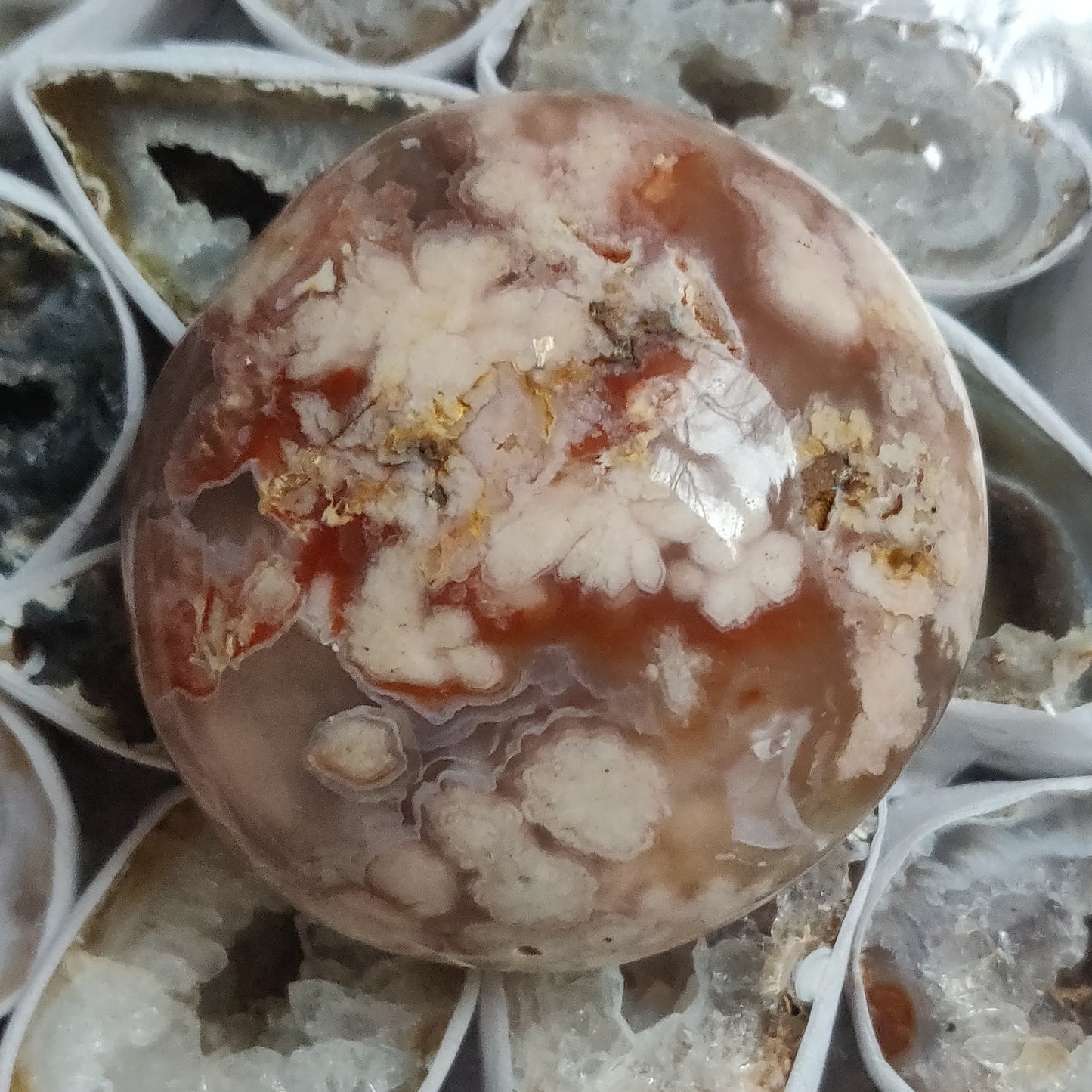 Flower Agate Palm Stone (#8)