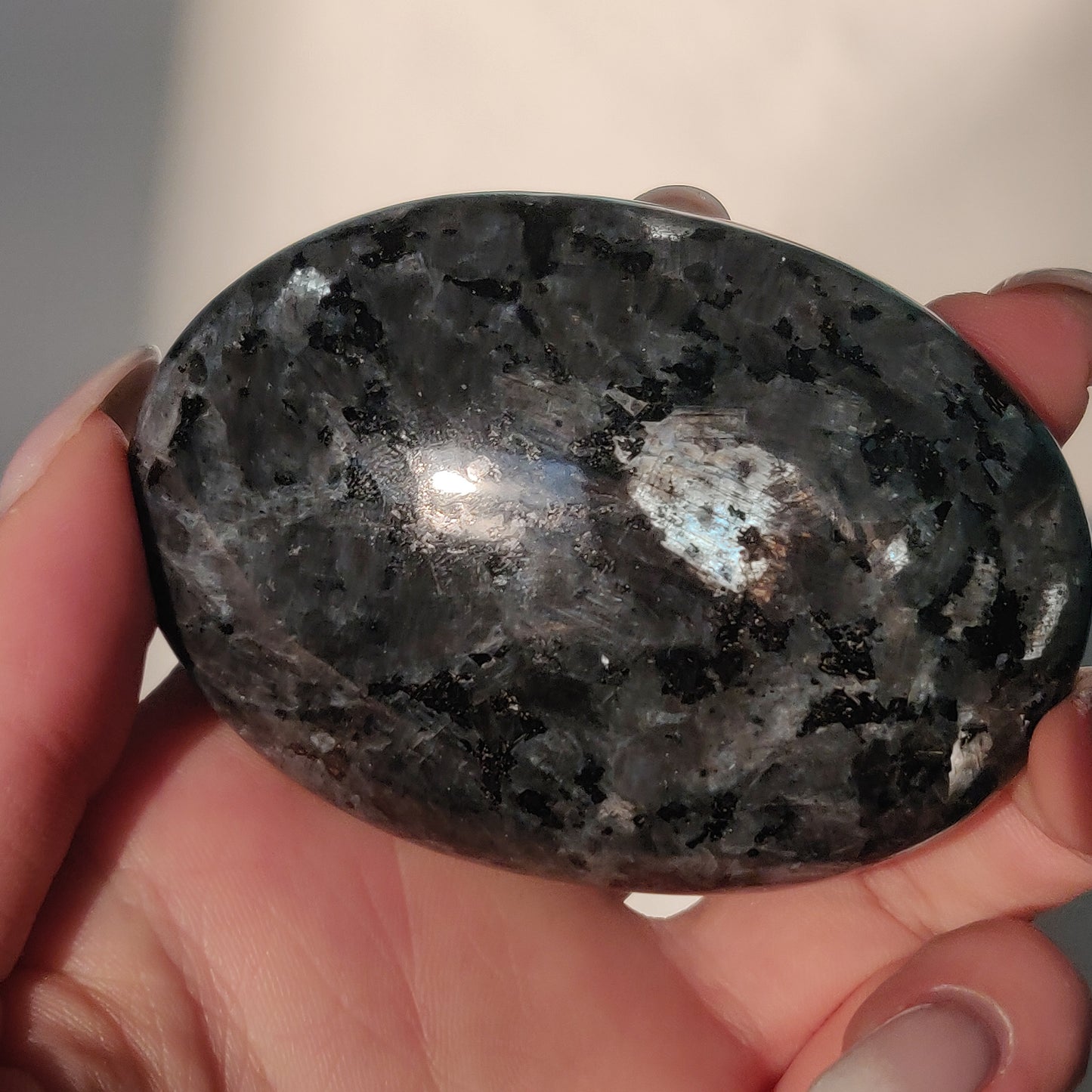 Larvikite Palm Stone (#3)