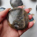 Black Moonstone Palm Stone, Flashy Black Moonstone (#6)