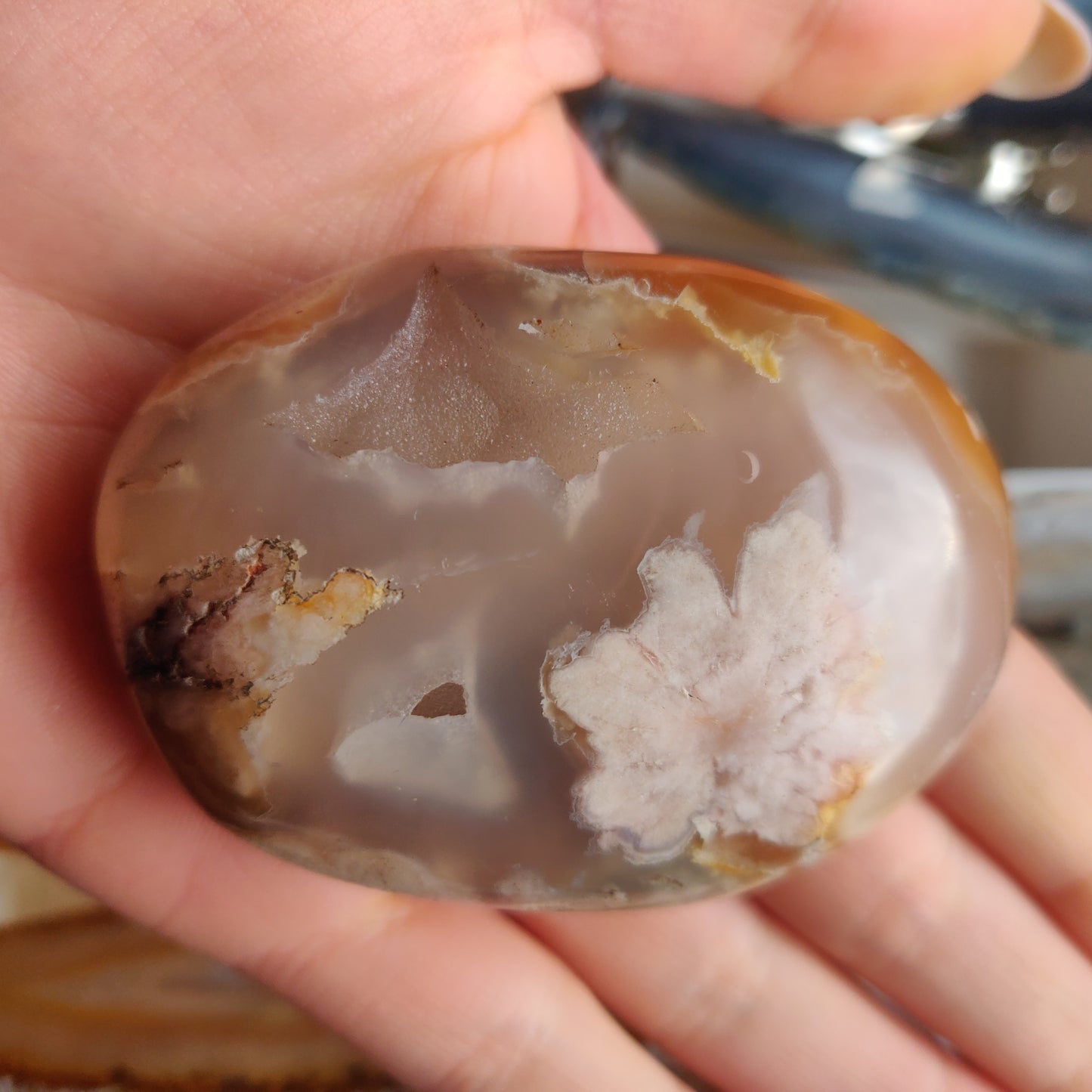 Flower Agate Palm Stone (#4)
