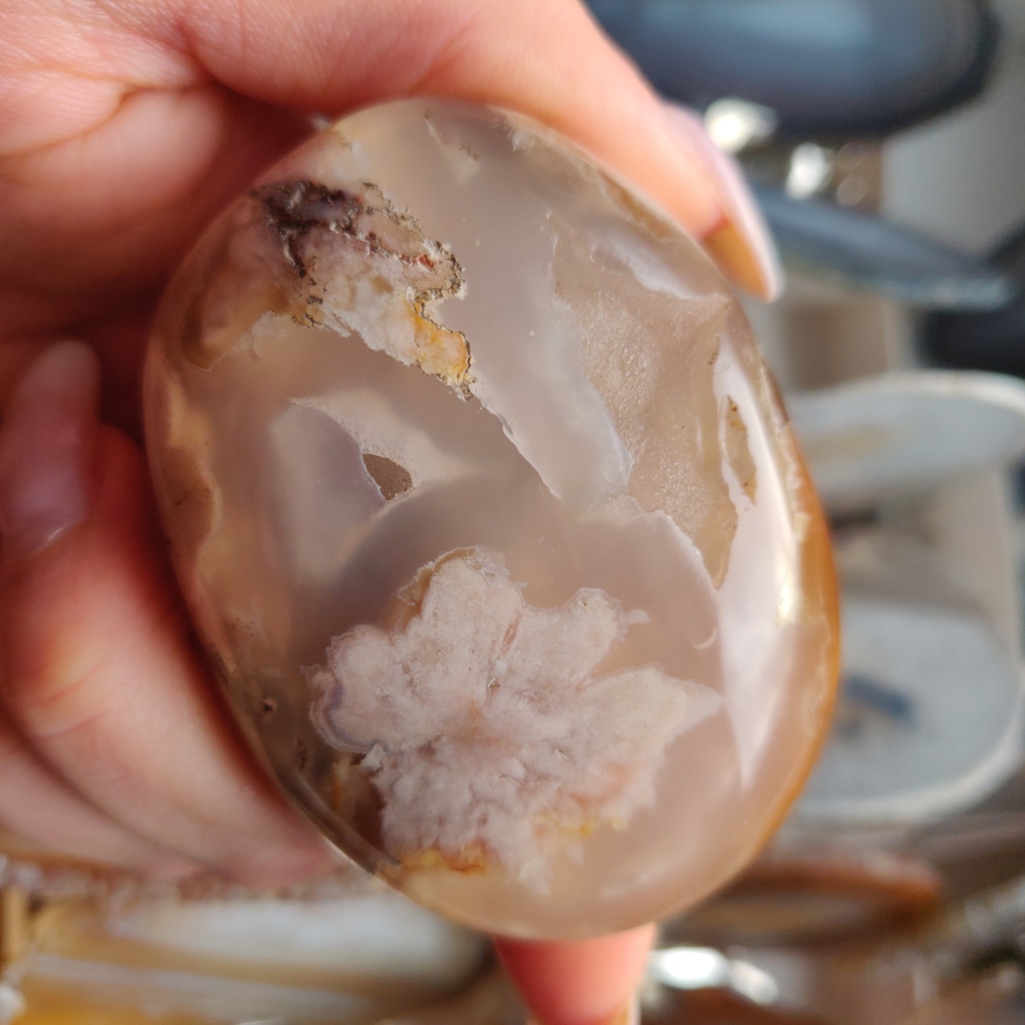 Flower Agate Palm Stone (#4)