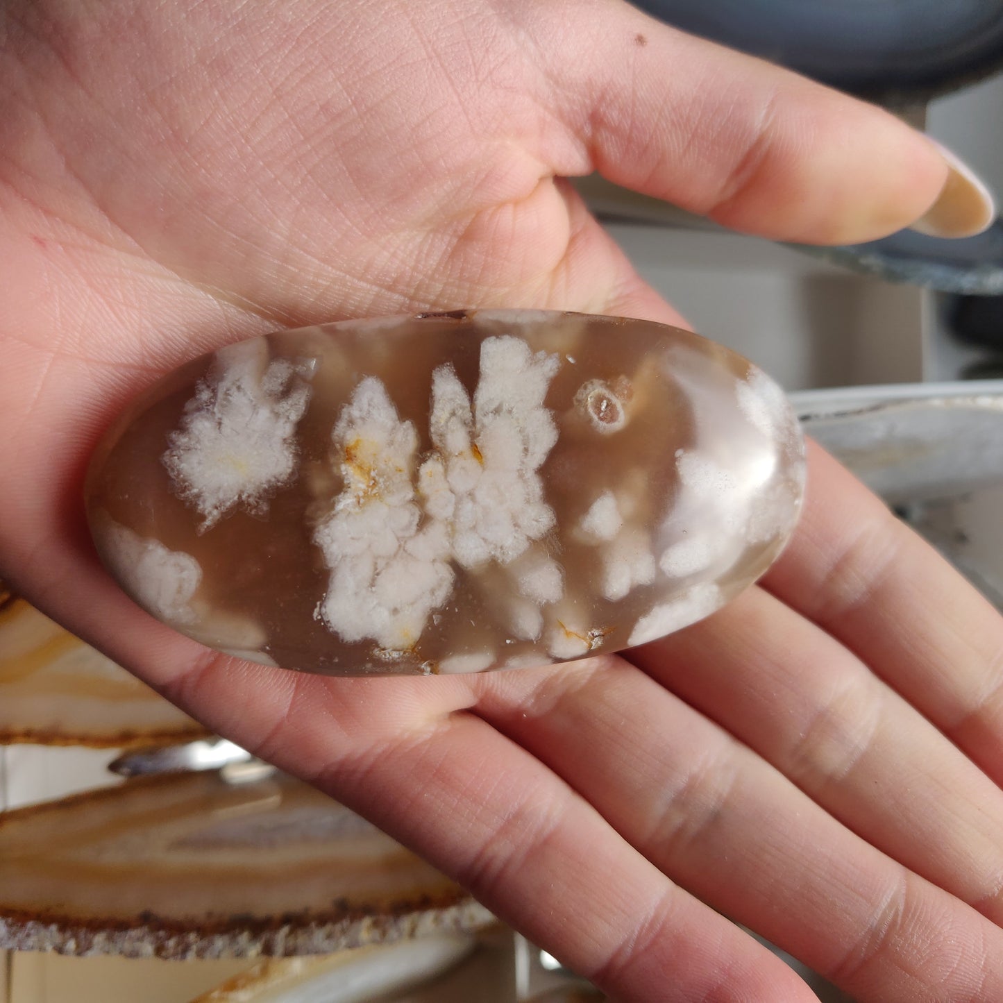 Flower Agate Palm Stone (#36)