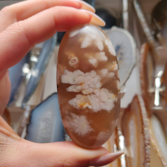 Flower Agate Palm Stone (#36)