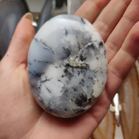 Dendritic Opal Palm Stone (#33)