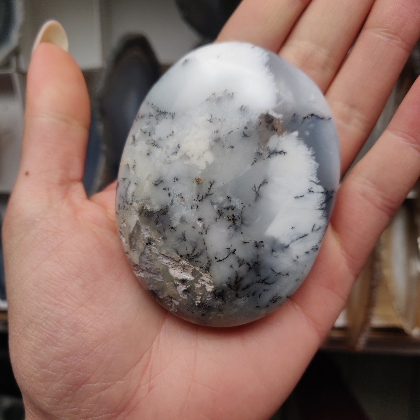 Dendritic Opal Palm Stone (#33)