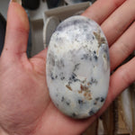 Purple Dendritic Opal Palm Stone (#32)