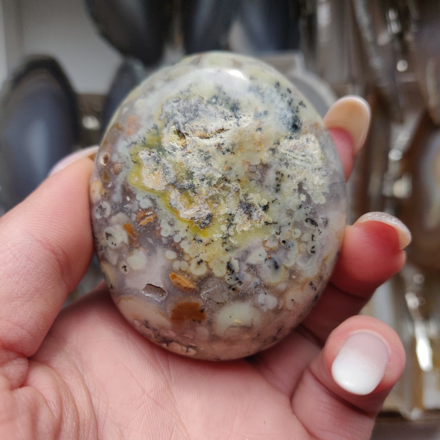 Dendritic Opal Palm Stone (#30)