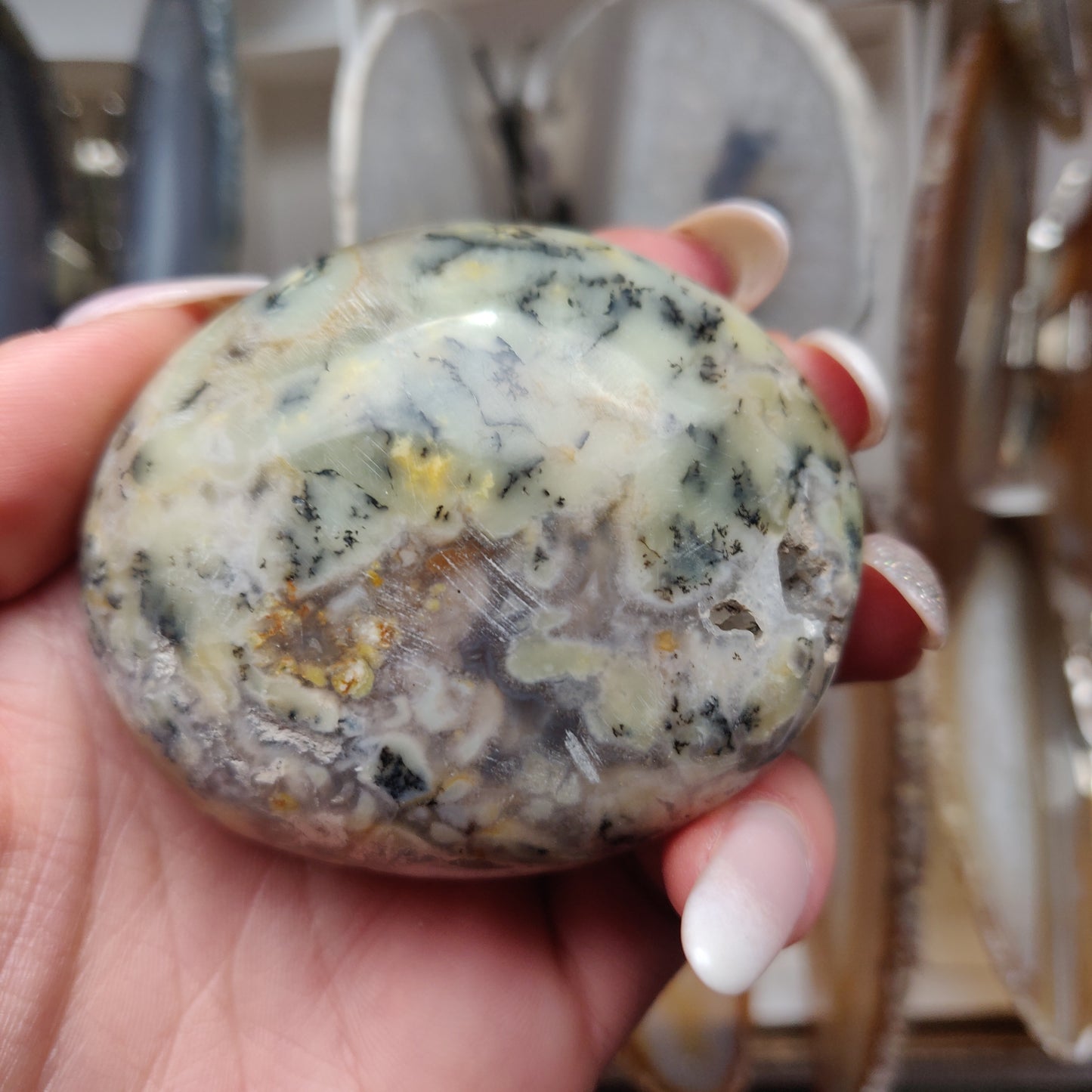 Dendritic Opal Palm Stone (#30)