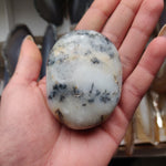 Dendritic Opal Palm Stone (#29)