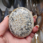 Ocean Jasper Palm Stone (#34)