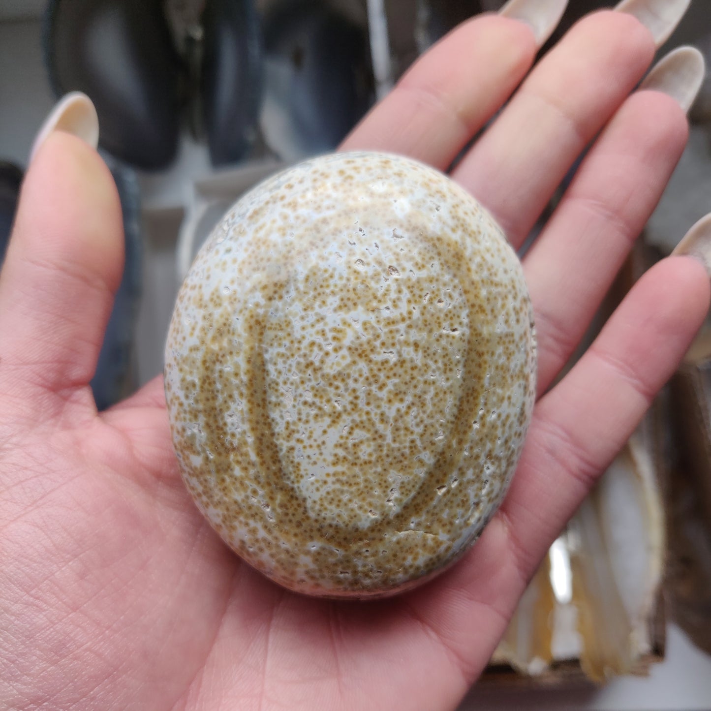 Ocean Jasper Palm Stone (#34)