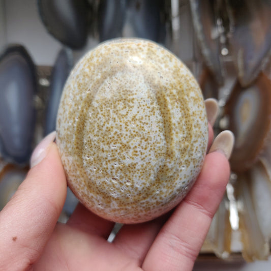 Ocean Jasper Palm Stone (#34)