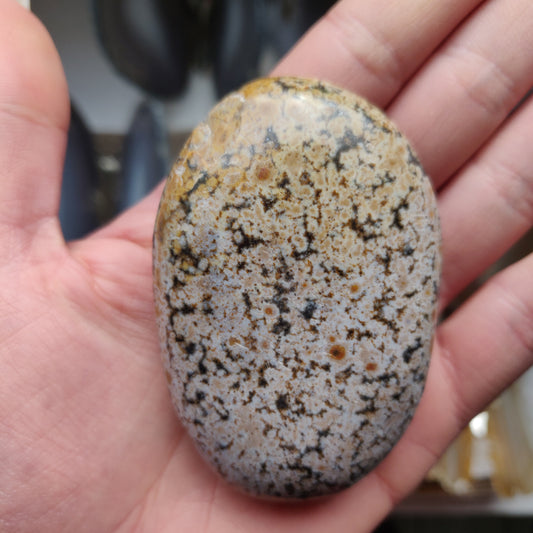 Ocean Jasper Palm Stone (#32)