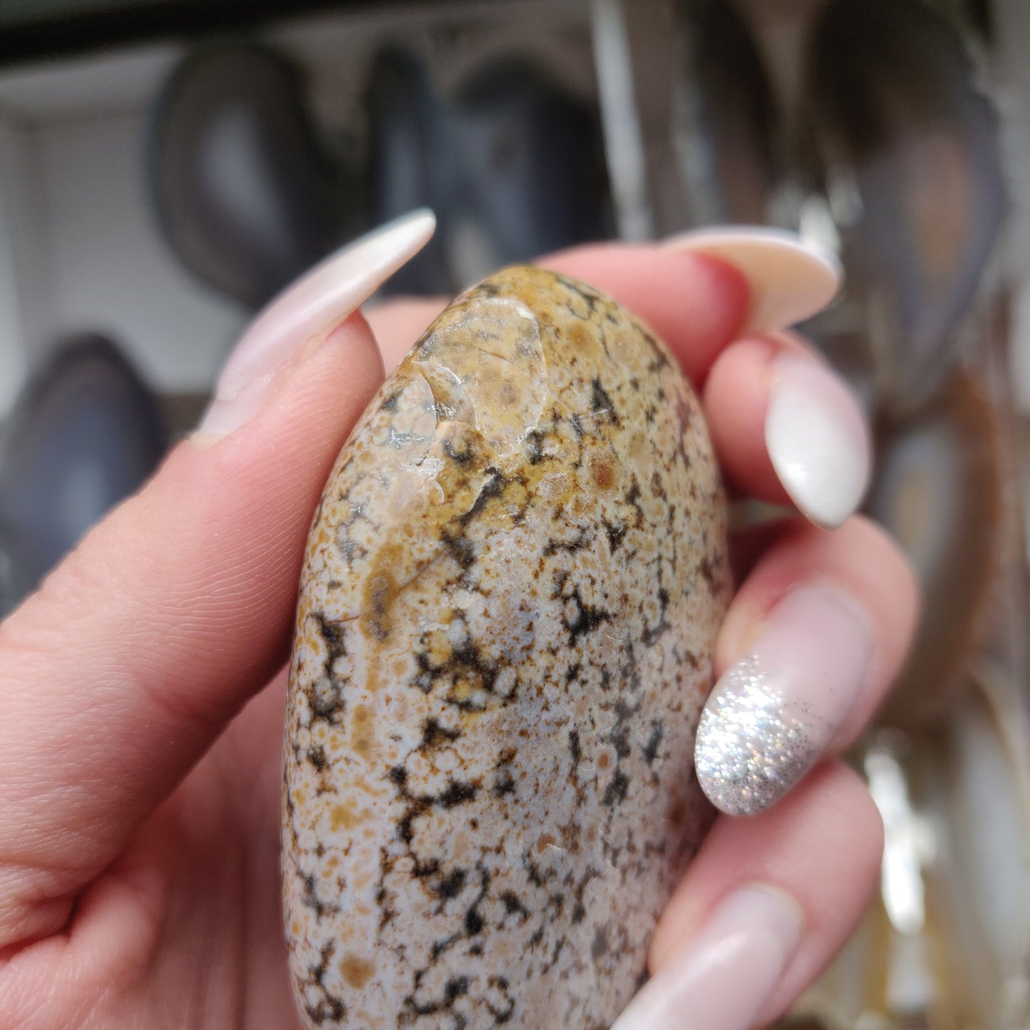 Ocean Jasper Palm Stone (#32)