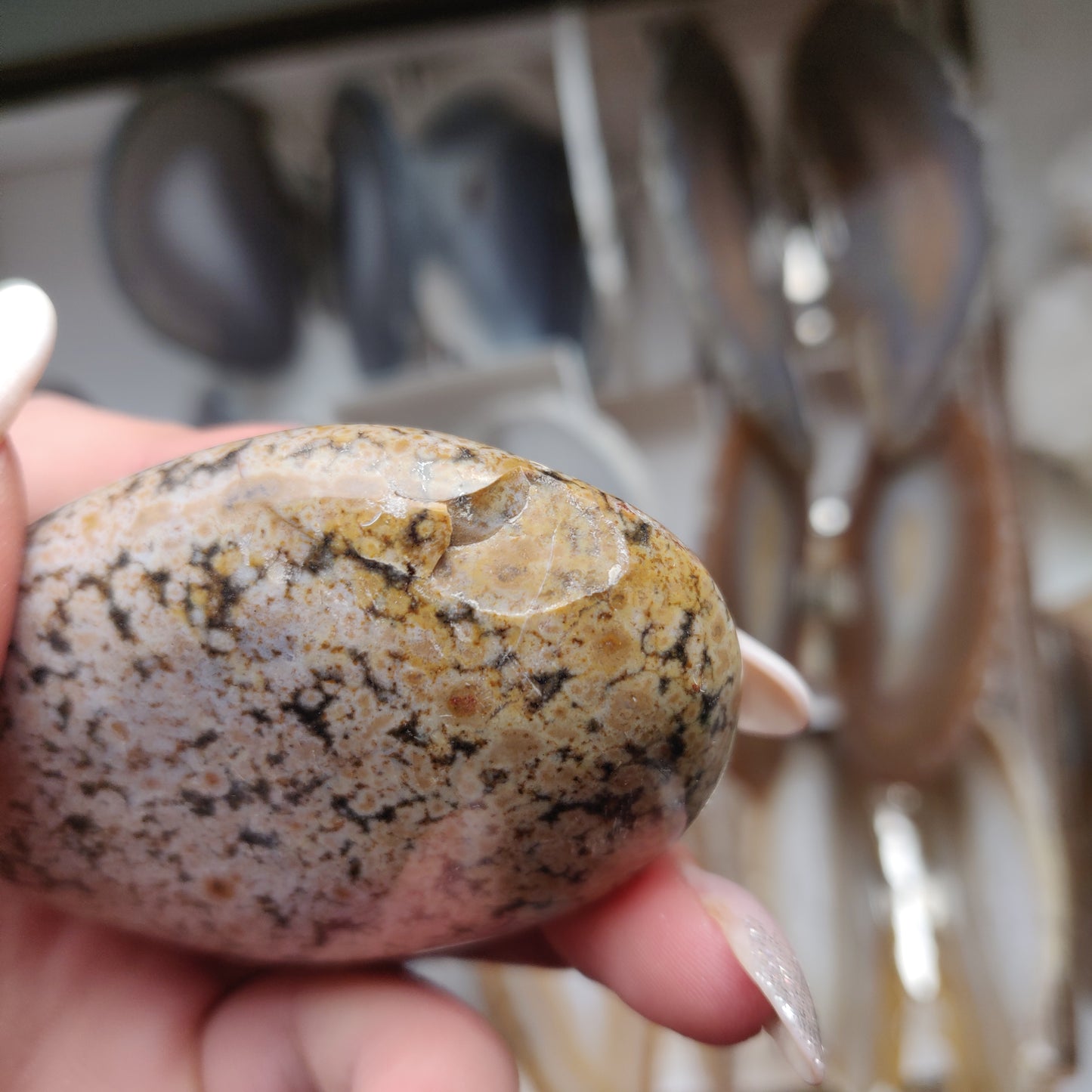 Ocean Jasper Palm Stone (#32)