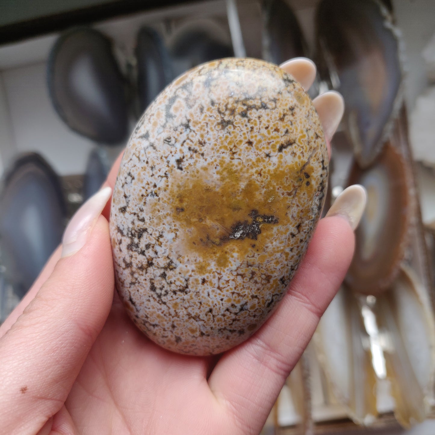 Ocean Jasper Palm Stone (#32)