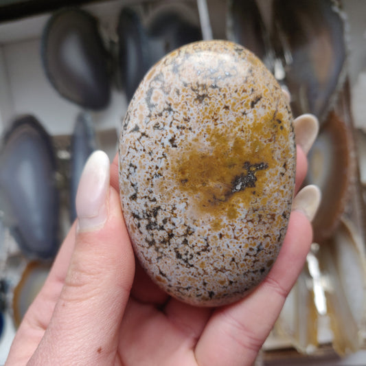 Ocean Jasper Palm Stone (#32)