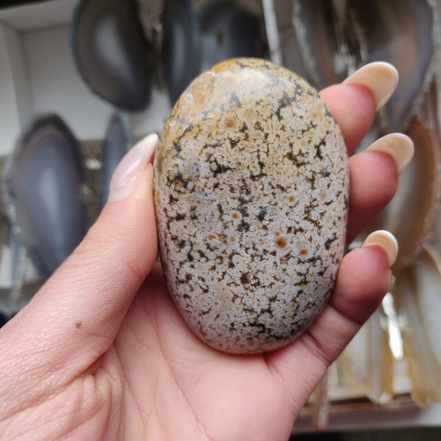 Ocean Jasper Palm Stone (#32)