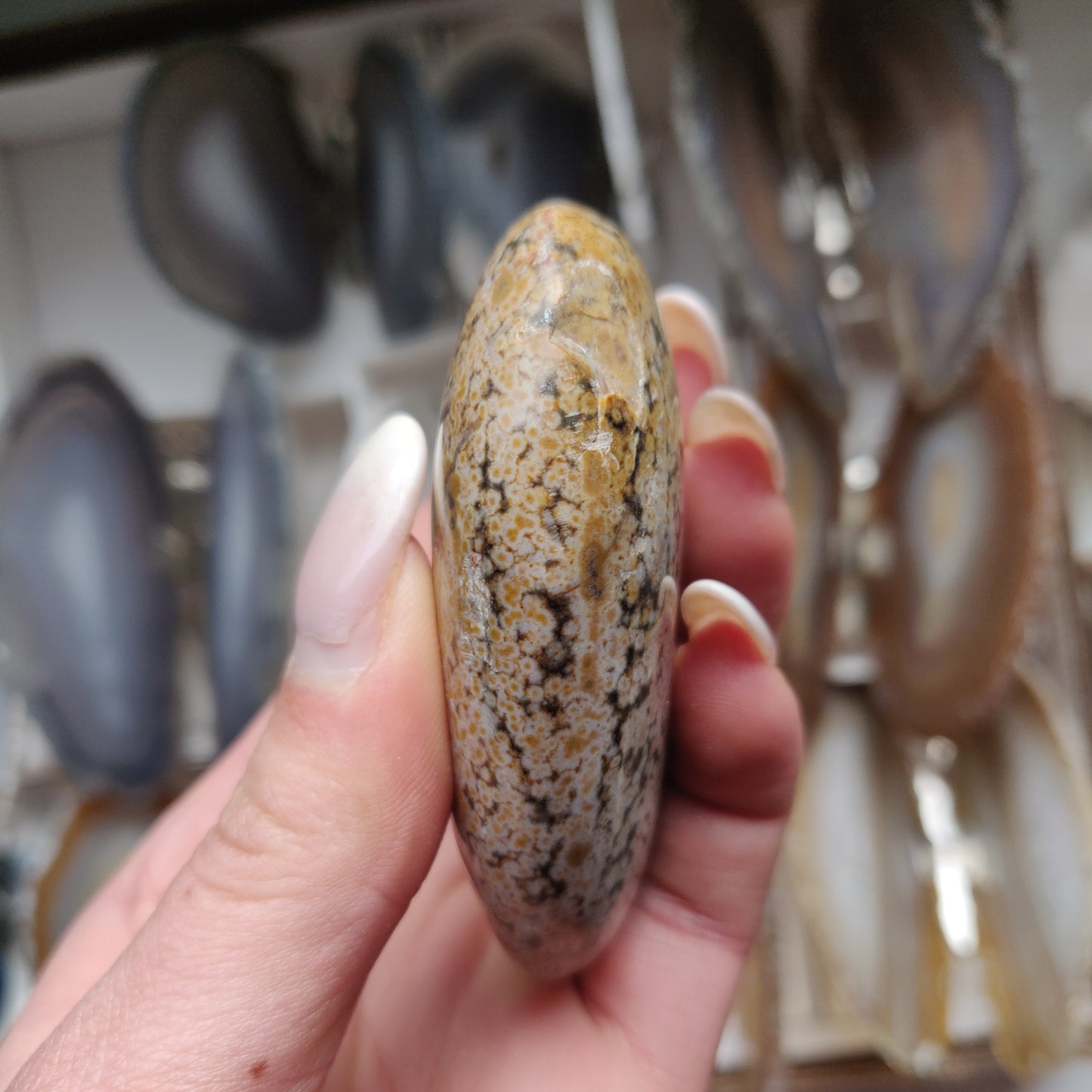 Ocean Jasper Palm Stone (#32)