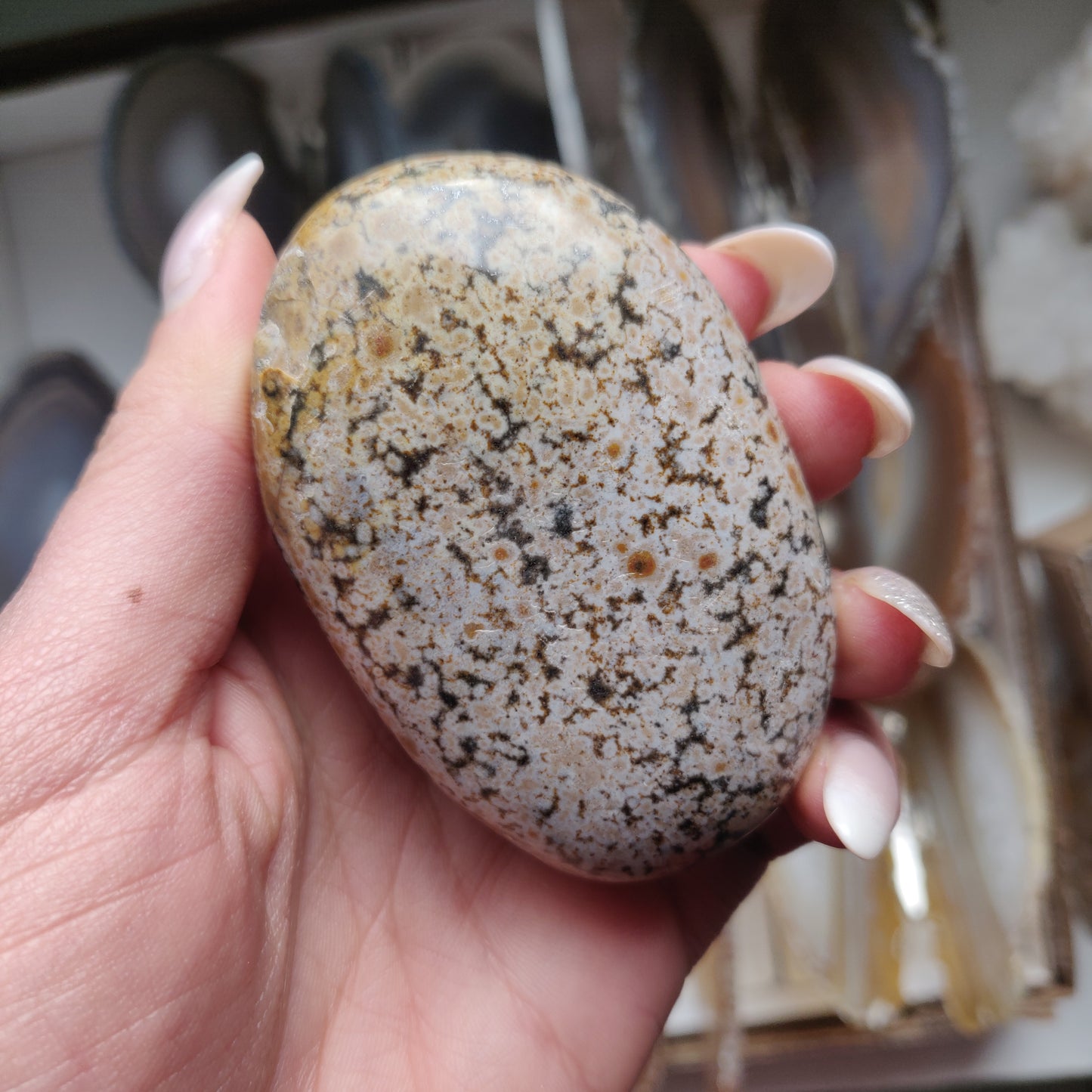 Ocean Jasper Palm Stone (#32)