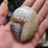 Ocean Jasper Palm Stone (#29)