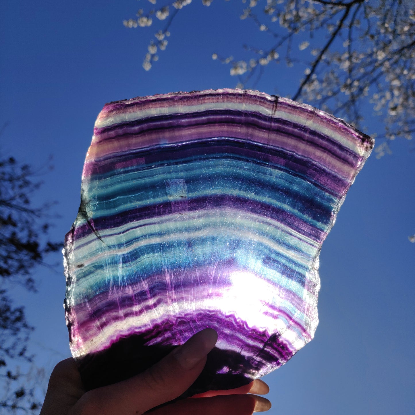 AAA Rainbow Fluorite Slab over 1.5 LBS! (#1A) - Simply Affinity