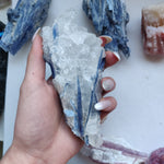 Blue Kyanite Specimen in Quartz (#6)