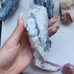 Blue Kyanite Specimen in Quartz (#6)