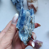 Blue Kyanite Specimen with Garnet Inclusions (#7)